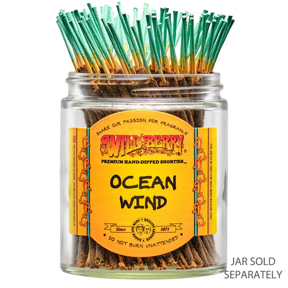 Wild Berry 4" Incense Shorties (100 Count Pack) | Wholesale