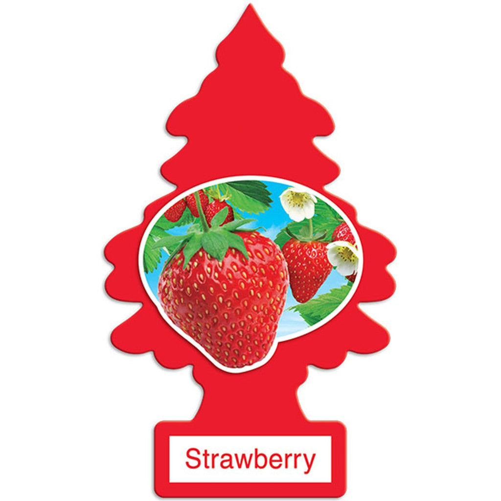 Little Trees Air Freshener – 24 Count Wholesale Toronto