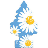 Little Trees Air Freshener – 24 Count Wholesale Toronto