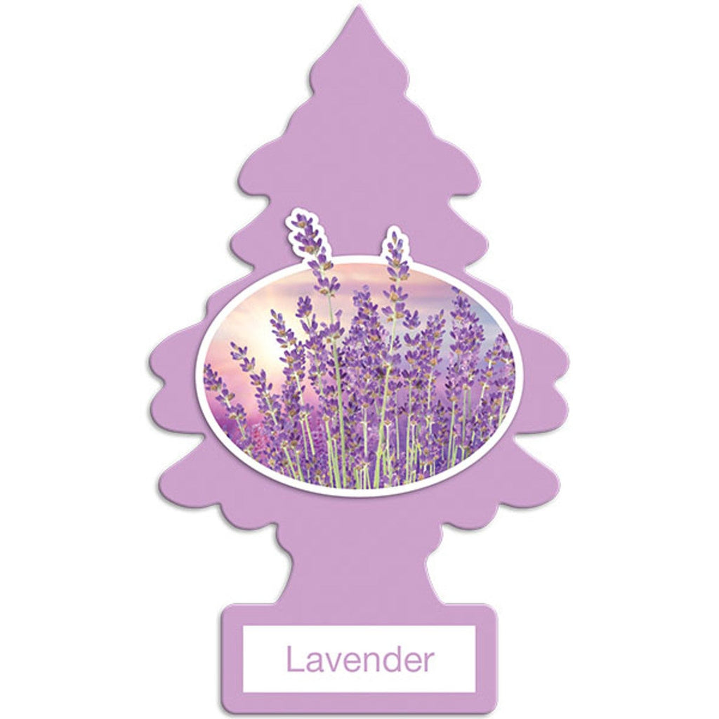 Little Trees Air Freshener – 24 Count Wholesale Toronto