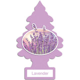 Little Trees Air Freshener – 24 Count Wholesale Toronto