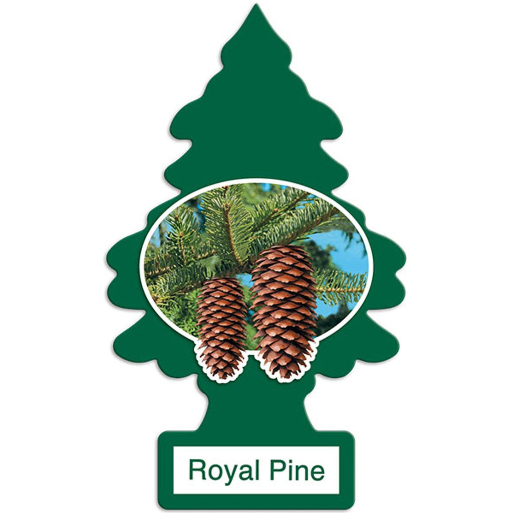 Little Trees Air Freshener – 24 Count Wholesale Toronto
