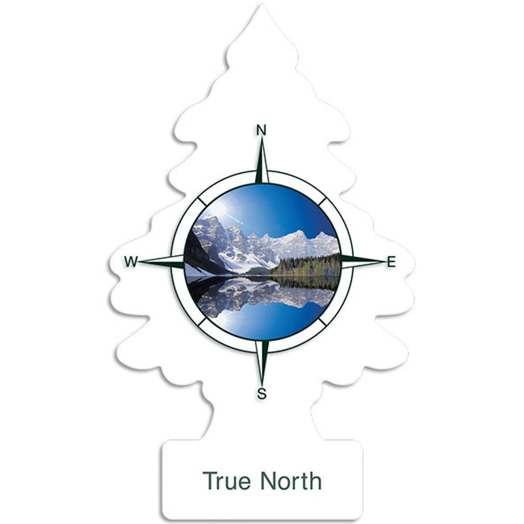 Little Trees Air Freshener – 24 Count Wholesale Toronto