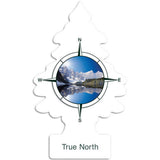Little Trees Air Freshener – 24 Count Wholesale Toronto